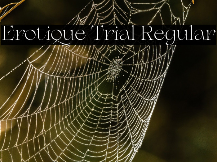 Erotique Trial Regular Example 1
