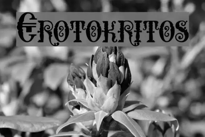 Erotokritos Font examples