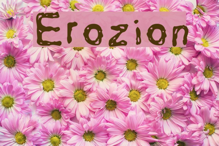 Erozion Font examples