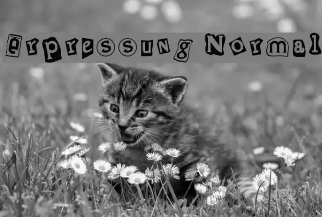 Erpressung Normal Example 2