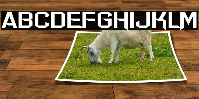 Err Hostess Font examples