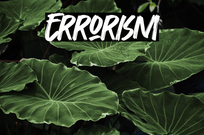 Errorism Example 1