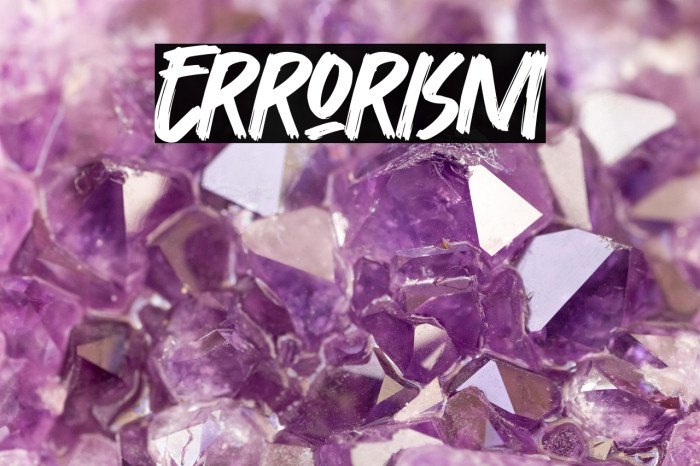 Errorism Example 2