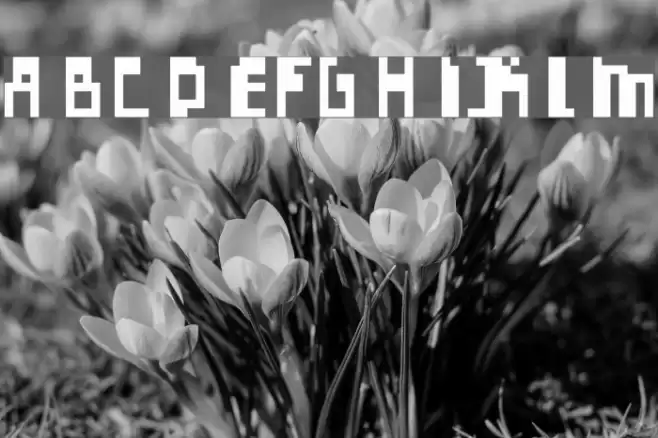 Errorize Font examples