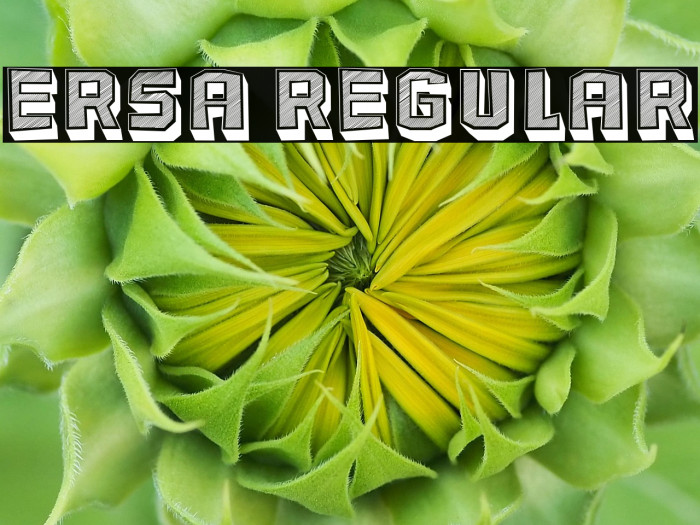 Ersa Regular Example 1