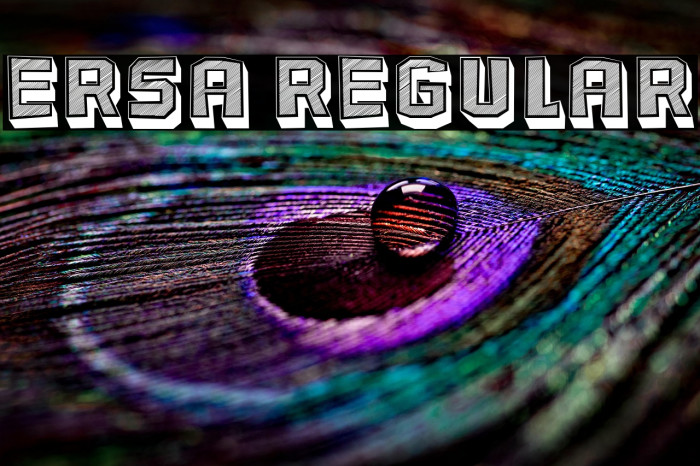 Ersa Regular Example 2