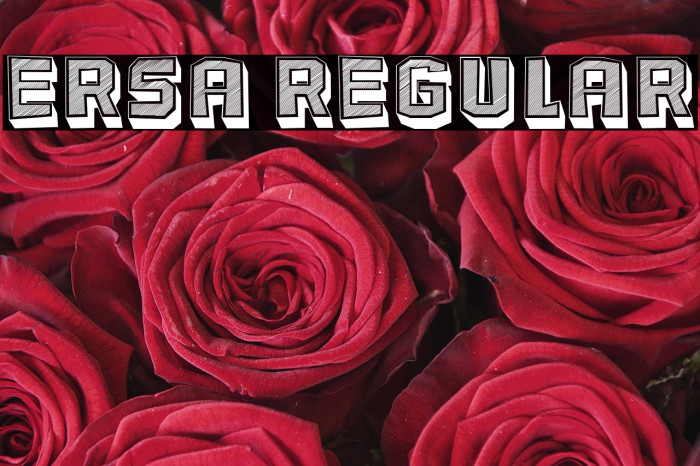 Ersa Regular Example 3