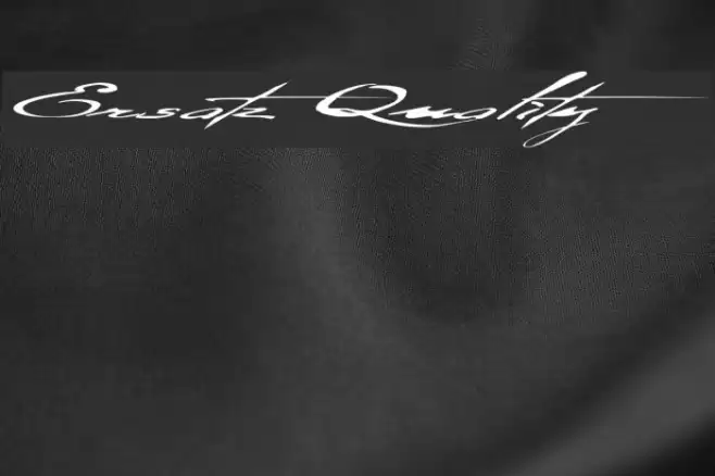 Ersatz Quality Font examples