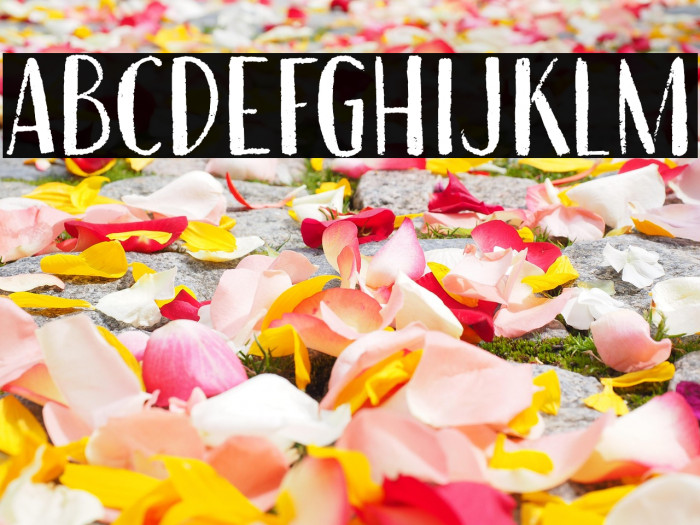 Erstwhile DEMO Regular Example 2