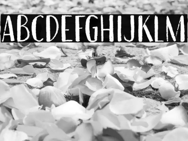 Erstwhile DEMO Regular Font examples