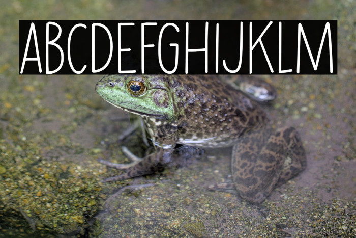 Erstwhile Line DEMO Regular Example 1