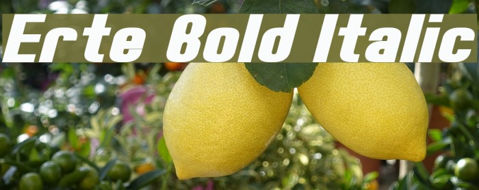 Erte Bold Italic Font examples