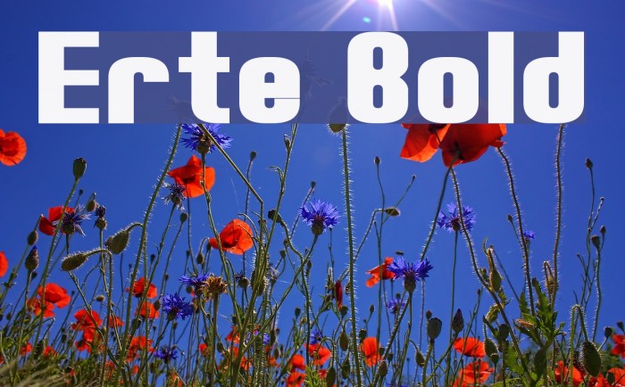 Erte Bold Font examples