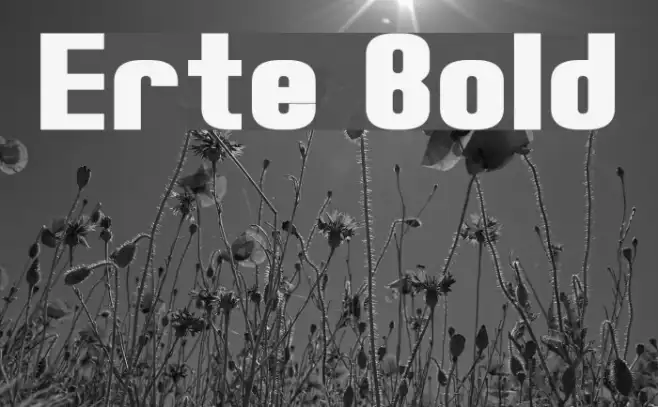 Erte Bold Example 2