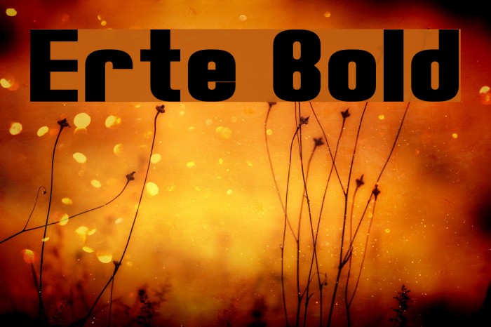 Erte Bold Font examples