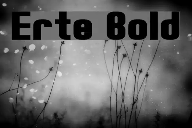 Erte Bold Example 3
