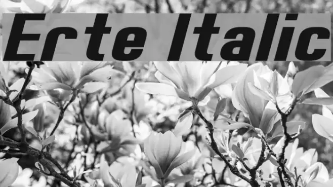 Erte Italic Font examples