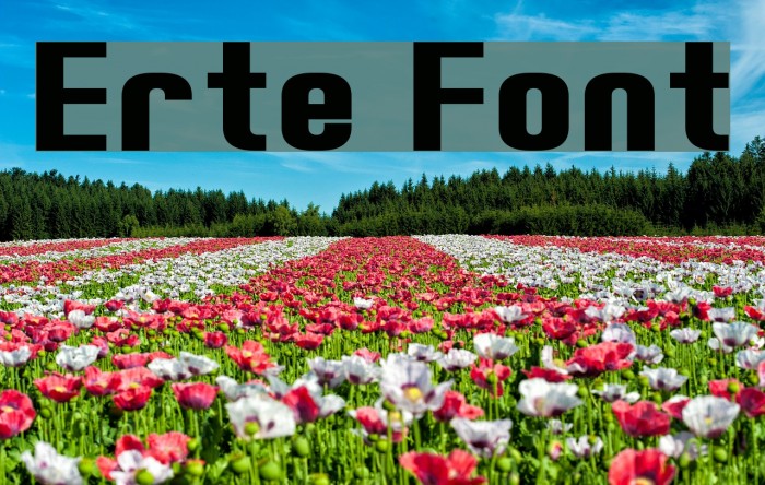 Erte Font examples