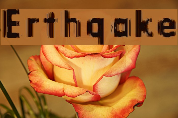Erthqake Fuentes examples