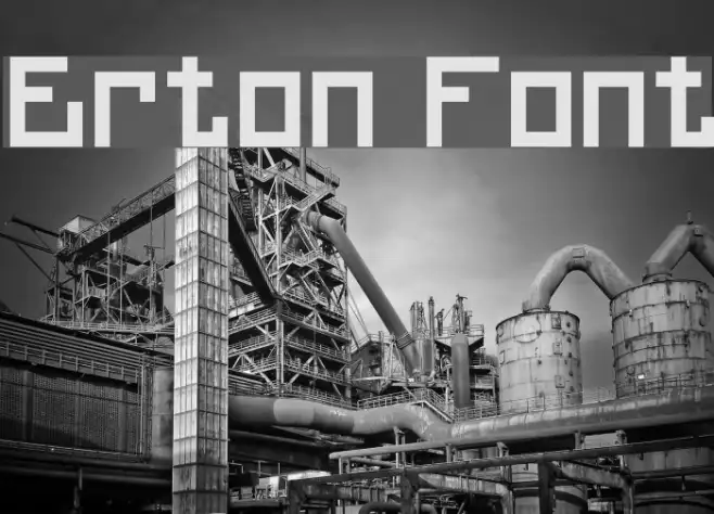 Erton Example 1