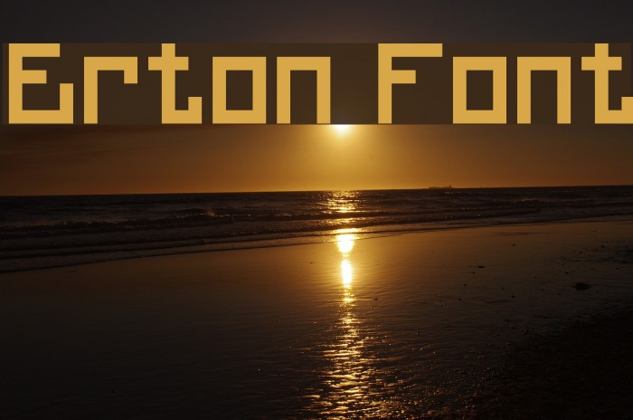 Erton Font examples