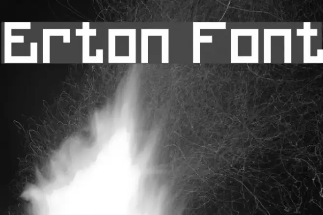 Erton Example 3
