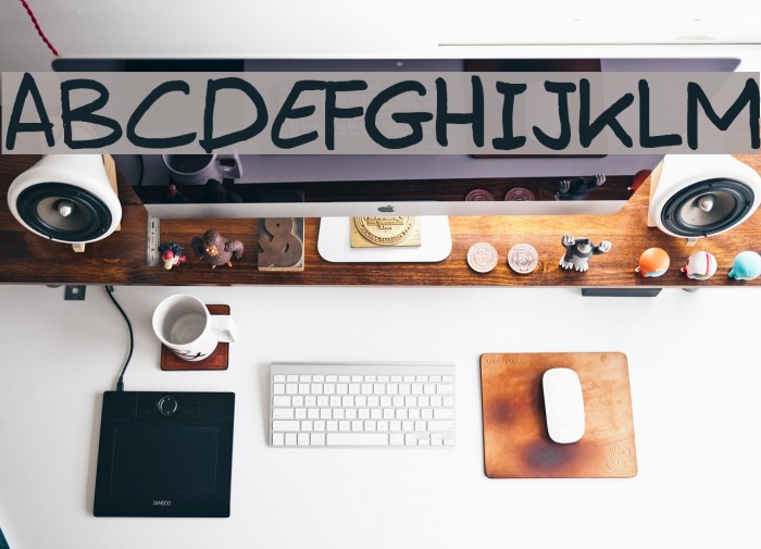 Erwin Plain Font examples