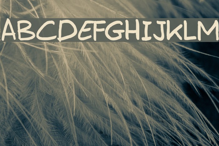 Erwin Plain Font examples