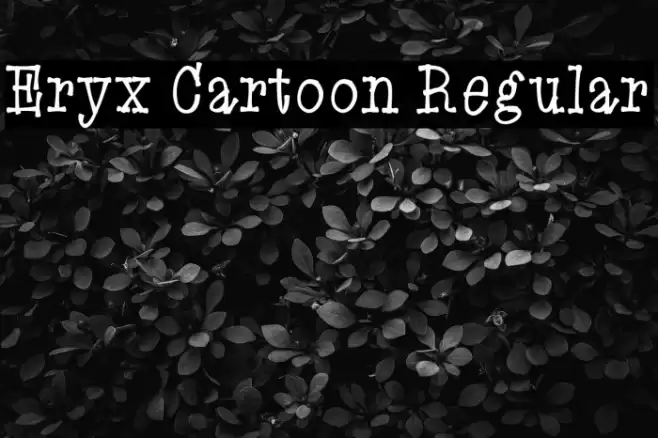 Eryx Cartoon Regular Font examples