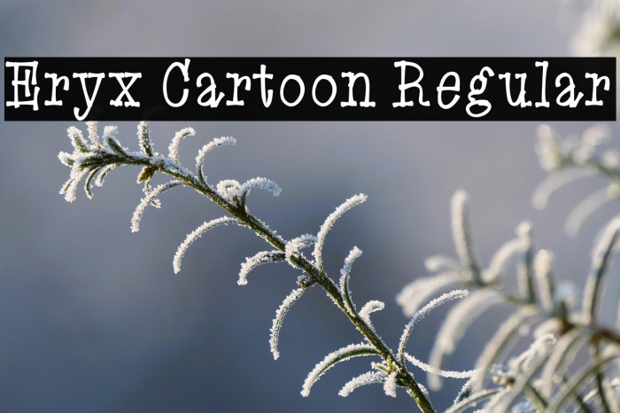 Eryx Cartoon Regular Example 3