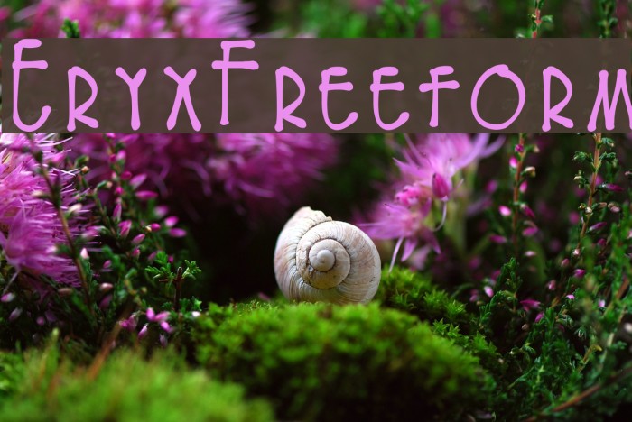 EryxFreeform Font examples