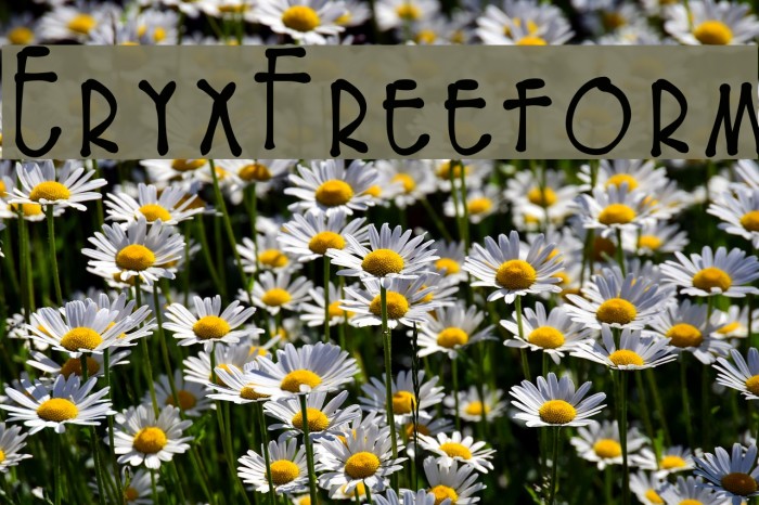 EryxFreeform Font examples