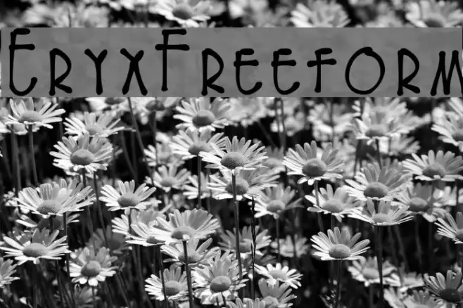 EryxFreeform Example 2