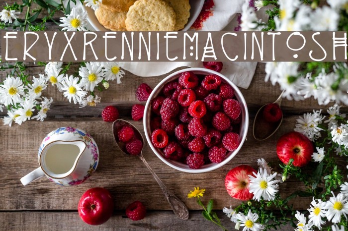 EryxRennieMacintosh Font examples