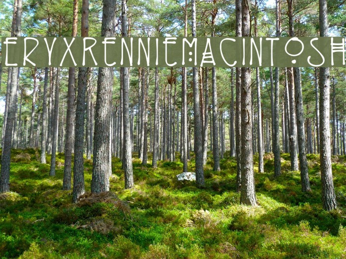 EryxRennieMacintosh Font examples
