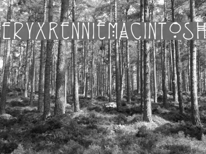 EryxRennieMacintosh Example 3