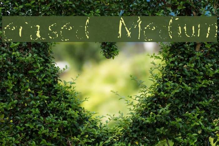 erased Medium Font examples