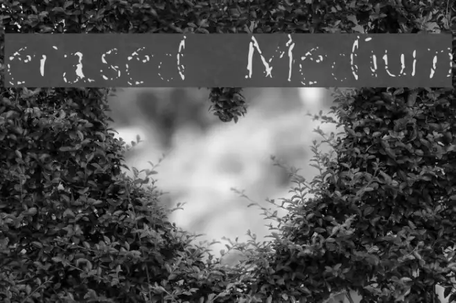 erased  Medium Example 2