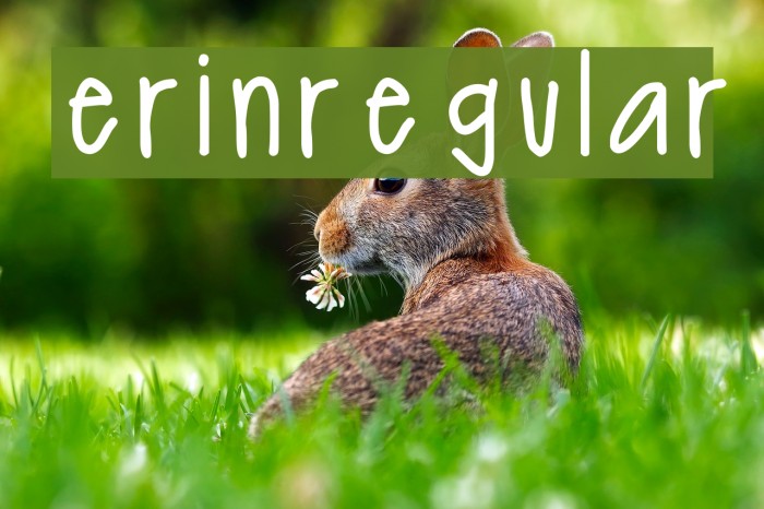 erinregular Font examples