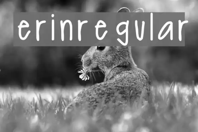 erinregular Example 1