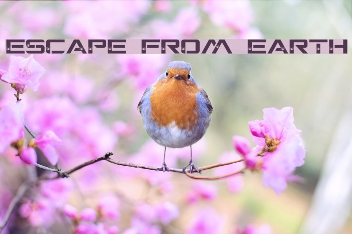 ESCAPE FROM EARTH Example 3