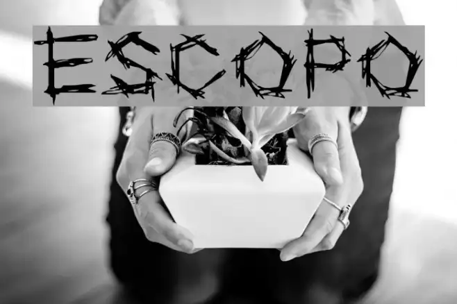 ESCOPO Example 1