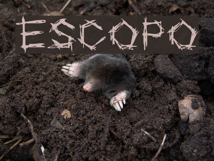 ESCOPO Font examples