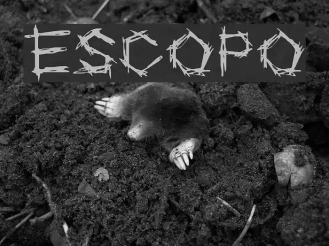 ESCOPO Example 2