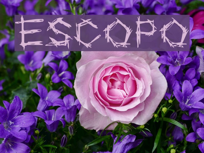ESCOPO Font examples