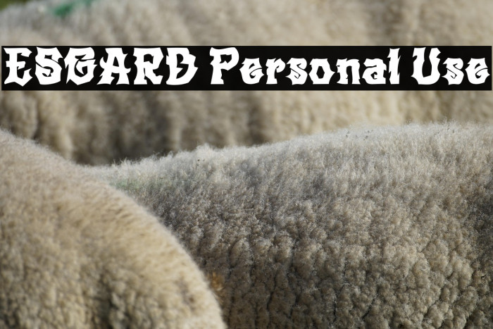 ESGARD Personal Use Example 2