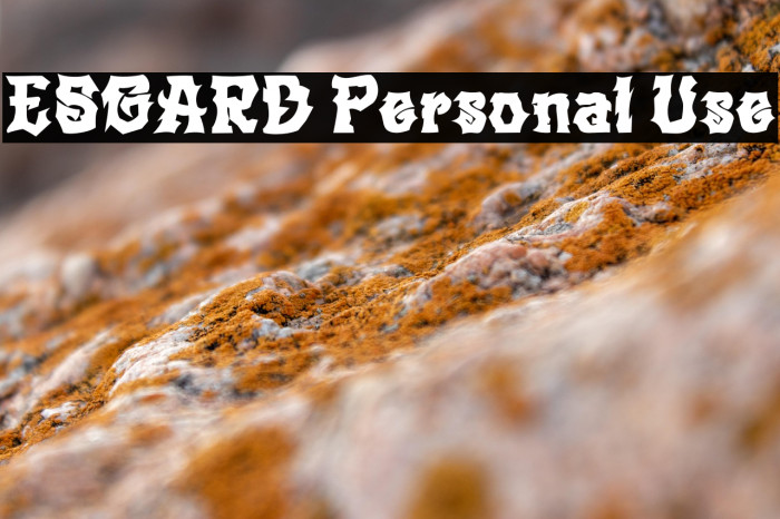 ESGARD Personal Use Example 3