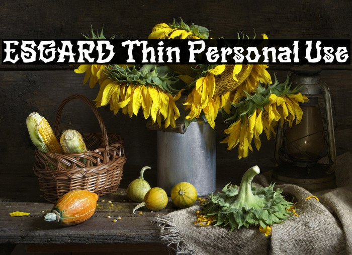 ESGARD Thin Personal Use Example 1