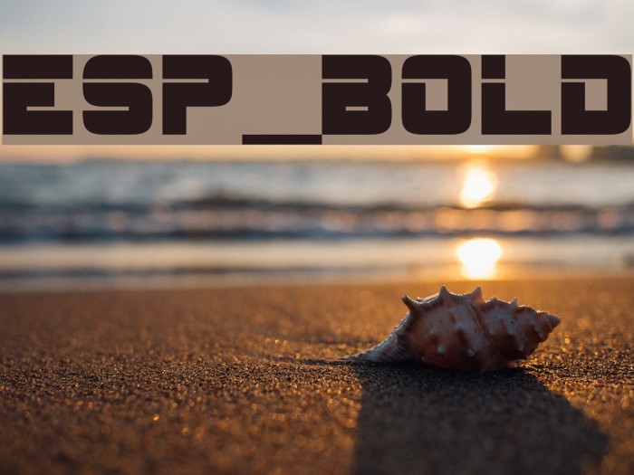 ESP_Bold Font examples