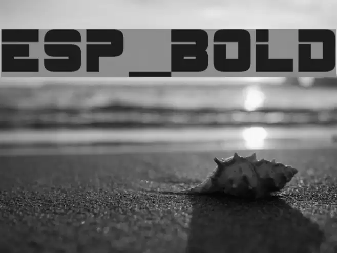 ESP_Bold Caratteri examples